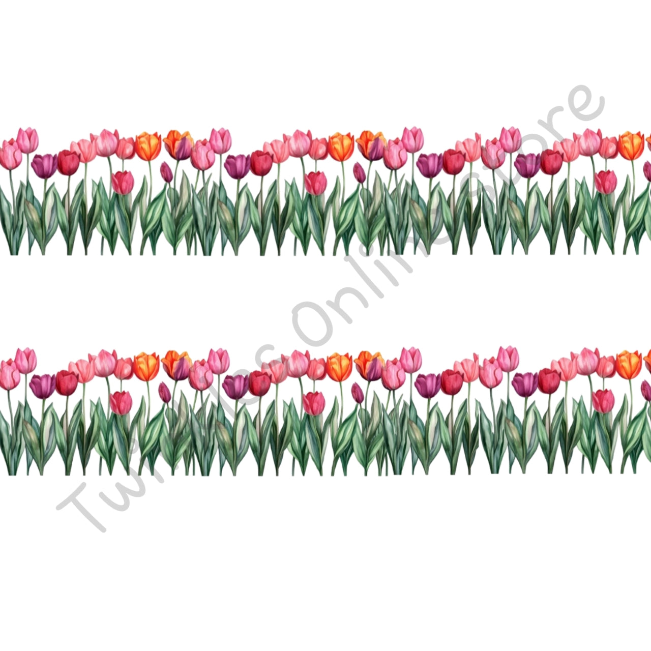 Tulip wide strip