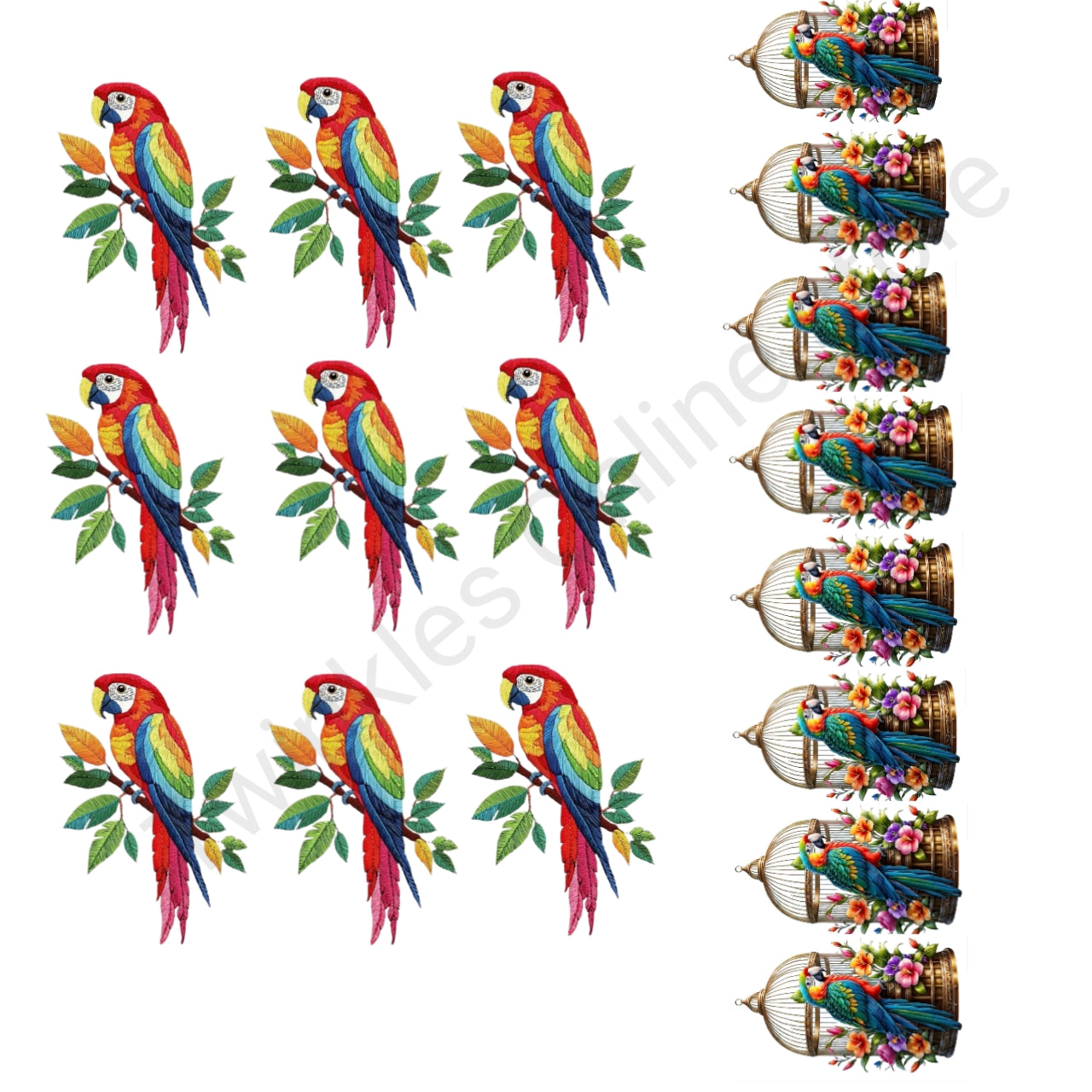 Parrot deal