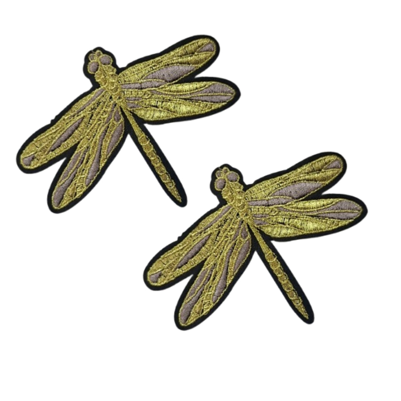 Dragon fly