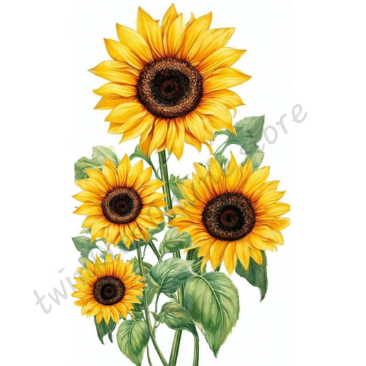 Big sunflower